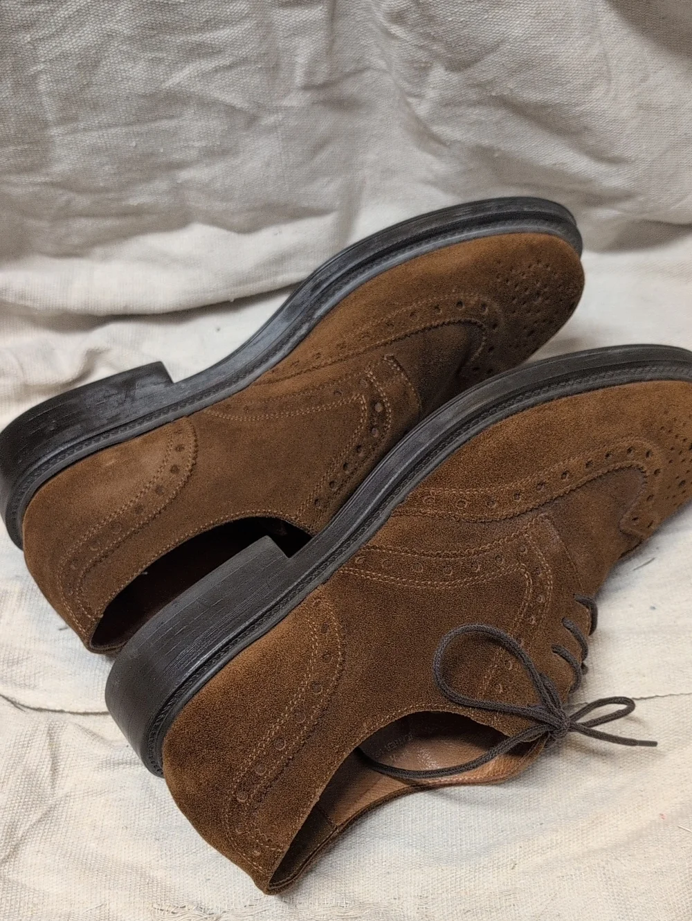 Banana Republic Brown Suede Wingtip Derbys